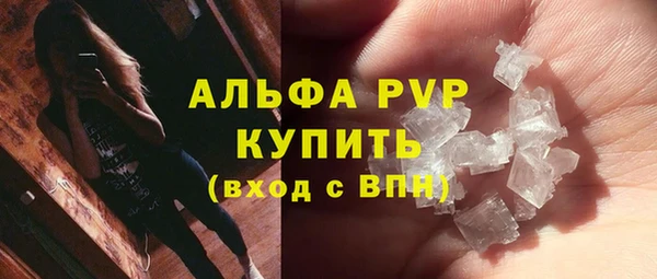 дмт Бородино