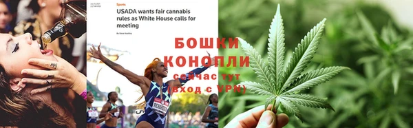 дмт Бородино