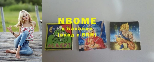 дмт Бородино