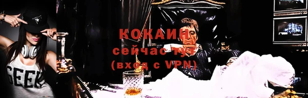 дмт Бородино