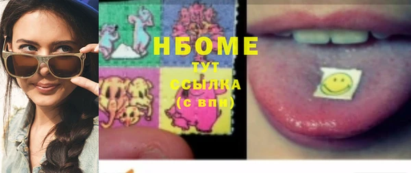 дмт Бородино
