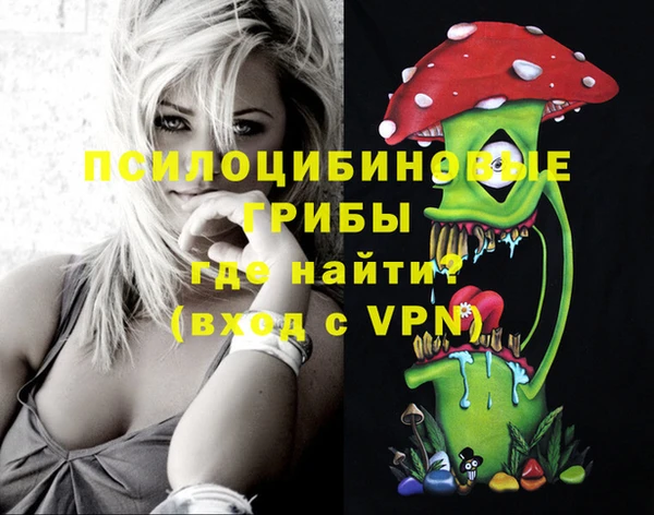 гидропоника Бугульма