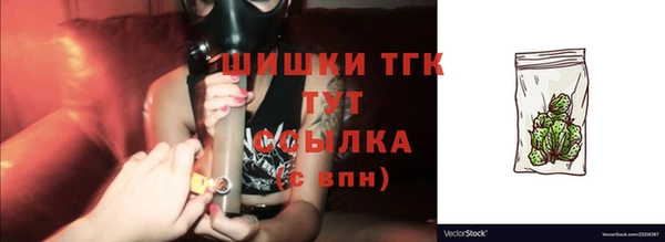 дмт Бородино