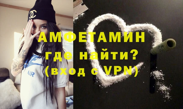 дмт Бородино