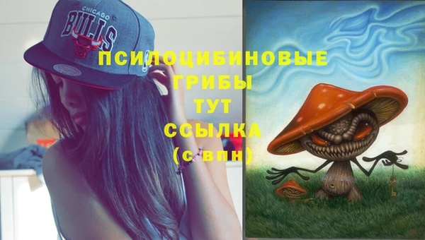 гашишное масло Бронницы
