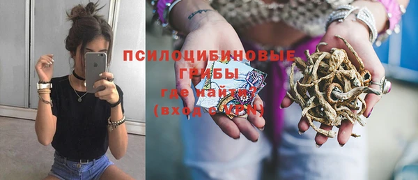 дмт Бородино