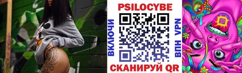 Галлюциногенные грибы Psilocybine cubensis Льгов